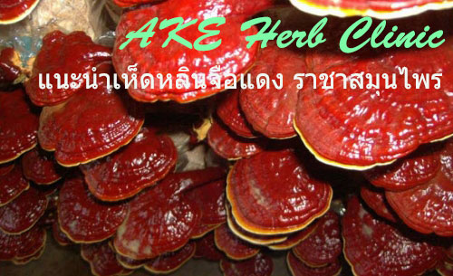 AKE Herb йԹᴧ شʹҪعúاҧ Ѳ  Ѵ˹ԹᴧʡѴ ԴŹʹ ake007online  0877069007